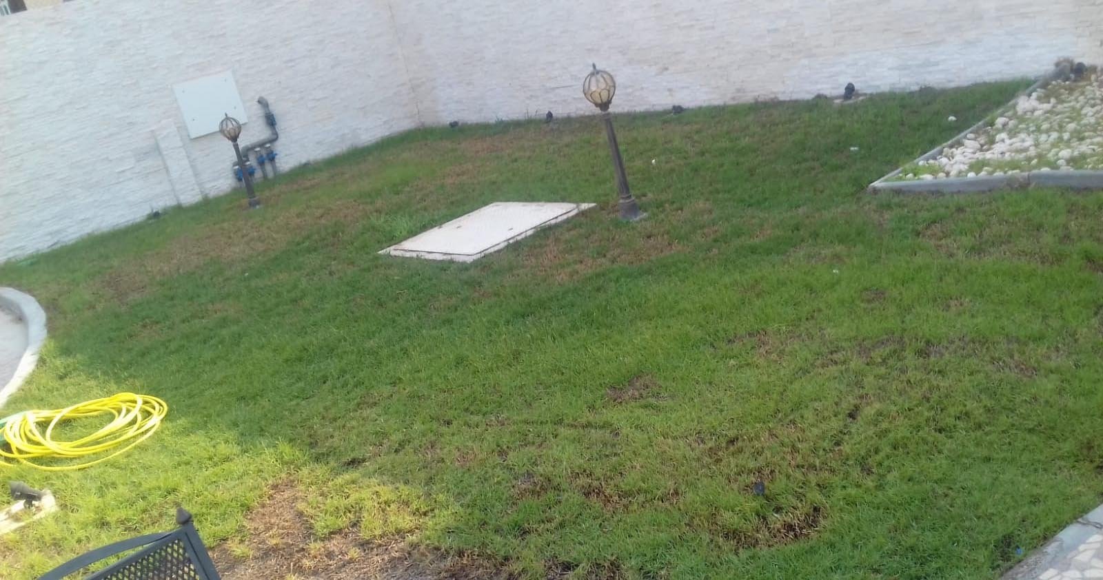 garden3